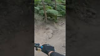 Great way to spectate! #shorts #short #mtb...