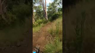Regrets #shorts #accident #crash #stack #flowers