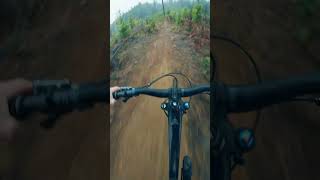 Sick Jump Trail! Cumberland BC