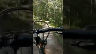 Sent the road gap #mountainbike #asmr #jumps...