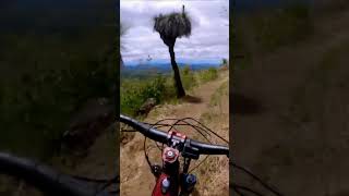 Stunning views! #shorts #mtb #mtblife...