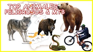 Animales peligrosos & MTB en España |...