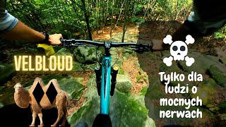 Tajemný | Velbloud | Hupcuk | Sjezdy |...