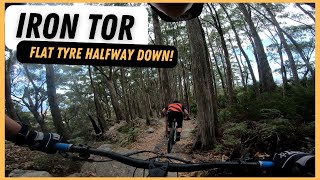 Iron Tor - Penguin MTB (Flat Tyre Half Way Down)