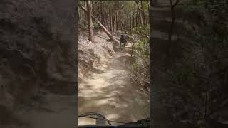 Somehow saved it! #shorts #mtb #mtblife...