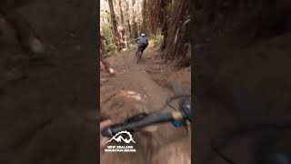 Te Ruru   #trailvideo #mtb #zerode