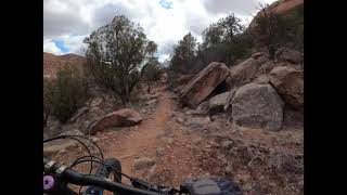 Y11/Shamrock MTB Trail Paradox Colorado