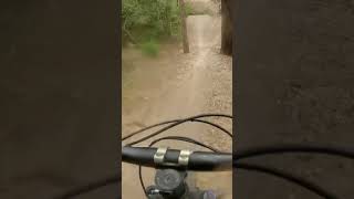 Almost died  #shorts