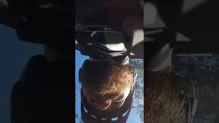 Crashing on race day #mountainbike #asmr...