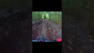 A fun run! #shorts #mtb #mtblife #mountainbike...