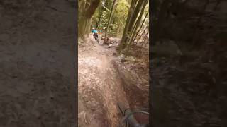 Tuhoto Ariki - Rotorua #rotorua #trailvideo...