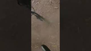 Crashing the bike #mountainbike #asmr...
