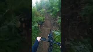 Steep Lines!  #mtb #gopro #shorts