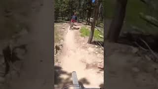Downhill Wooden Features!!!