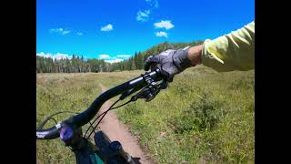 Haypress/Turkey Flats MTB Trail
