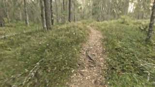 15 09 2022 Kenneth, Hylliskogen, Spydeberg