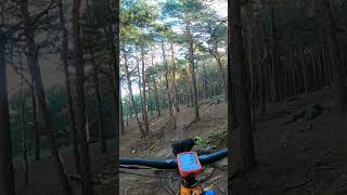 Peligro, raíces  #shorts #mtb #mountainbike...