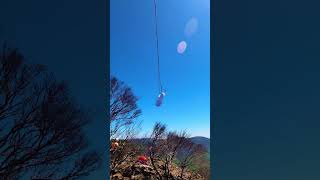 Trail building can be exciting! #short #shorts...