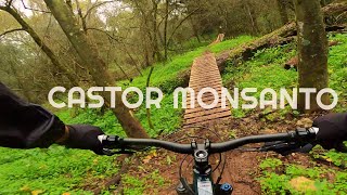 Castor Completo - MTB trails Monsanto Portugal