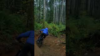 Perfect Dirt!!