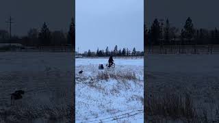 E-bike Sledding