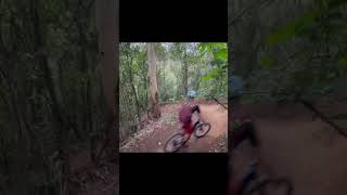Mini Shredit! #short #shorts #ytshorts #mtb...
