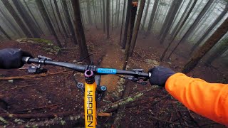 Don't Hit the Tree!