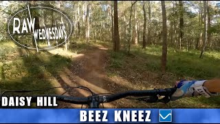 BEEZ KNEEZ | Daisy Hill | RAW WEDNESDAYS