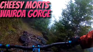 Cheese Morts for the win - Wairoa Gorge,...