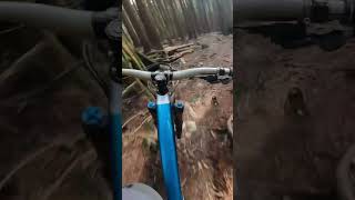 Secret North Shore Jank #mountainbiking #mtb...