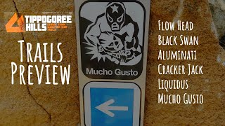 Tippogoree Hills (George Town) MTB Trails Preview