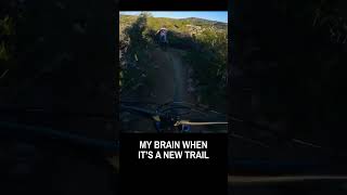  My brain when the mtb trail is new.