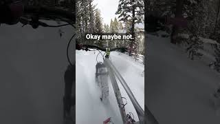 So Much Snow I Gave Up