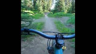 Are these Jumps some of the Best at any Bike...