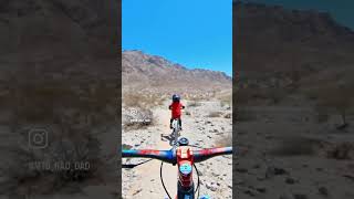 Check Out This Little Dude Crusing on The...