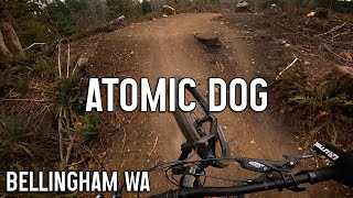Atomic Dog - Galbraith Mountain Biking