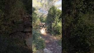 Laurent fait rien/Freewheel /G-line/Mont Gibaou