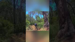 Before drones! #short #shorts #ytshorts...