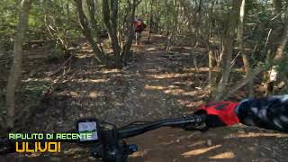 MTB: Montioni Trail Park - Ulivo Trail