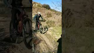 Vertical trail  #shorts #mtb #mountainbike...