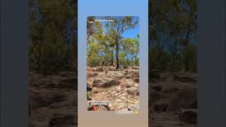 This rock garden is the goat #rockgarden...