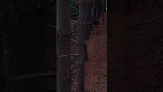 #mtb  find that thing that gives you peace 