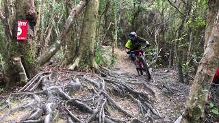 Davide @ Waiu Trail Park, Wellington, NZ