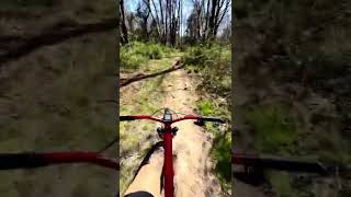 Beautiful day for a ride