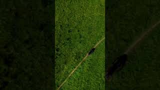 #dji #gopro TGIF