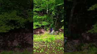 Checking out new trails (waterworks Annapolis)