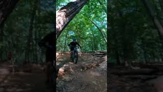 #MTB #MtBlife
