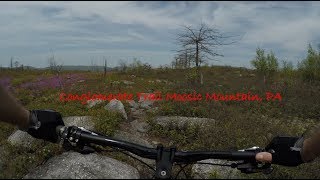 Conglomerate Trail Moosic Mountain, PA