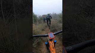 Riders in the fog ️ #shorts #mtb...