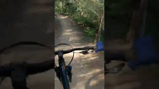 Speedy as #mountainbike #asmr #australia...